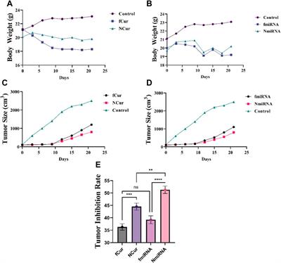 A comparative study on biopharmaceutical function of curcumin and miR-34a by multistimuli-responsive nanoniosome carrier: In-vitro and in-vivo